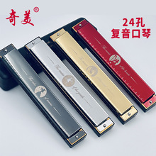 奇美小博士儿童口琴24孔初学成人学生课堂用入门演奏C调复音口琴