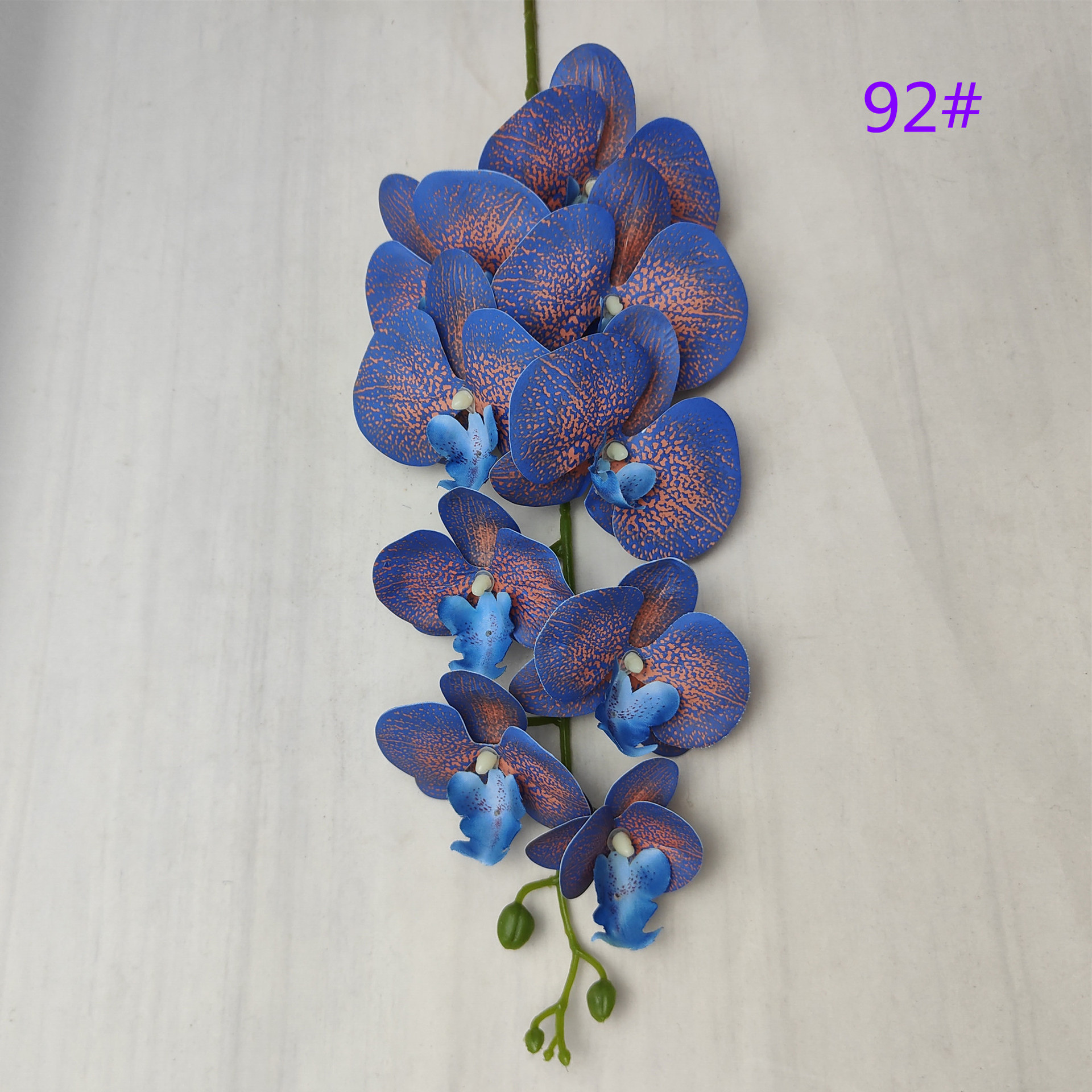 IMG20230509162655_副本_副本