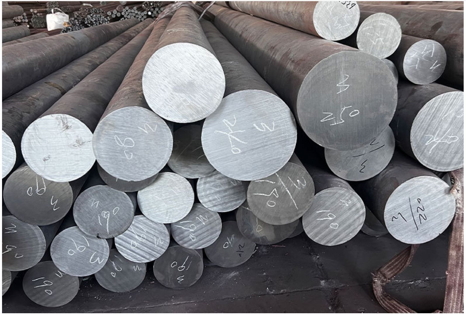 微信图片_202412091119541