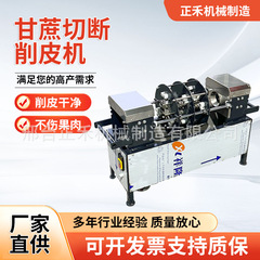 全自动新款甘蔗削皮切段一体机全自动商用电动去皮刮皮机器摆地摊
