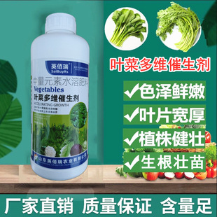 Special fertilizer for green vegetables Non-chemical fertilizer Leafy fertilizer Vegetable rooting and seedling strengthening agent Coriander Lettuce Auxin Yield increase