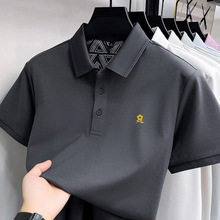 �������؋ɶ���T����ʿ���I�z����t��2026�ļ��¿����e����POLO��