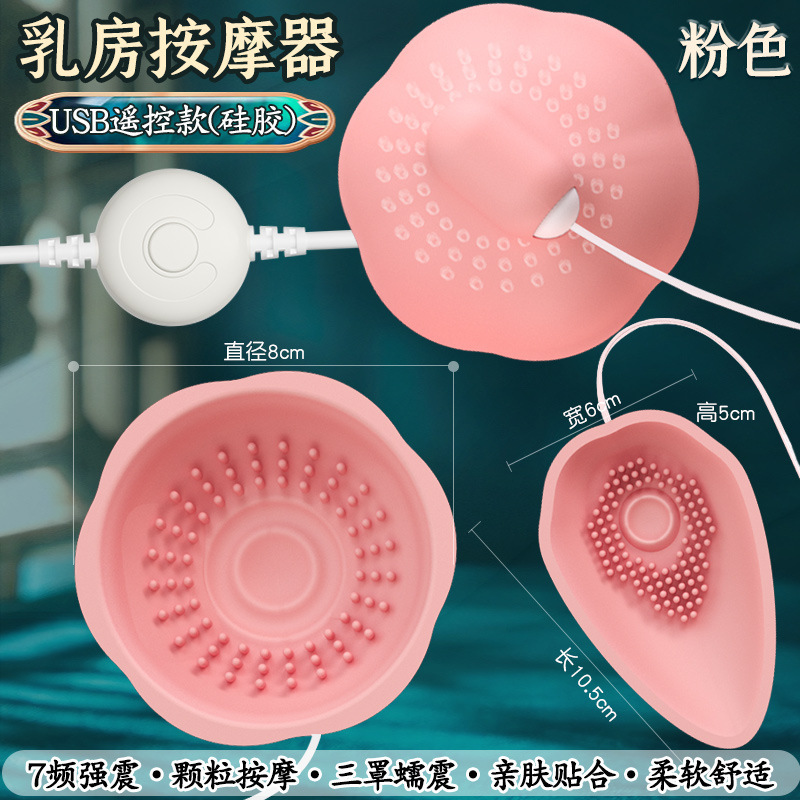 乳首クリトリス刺激ペン型バイブレーター 女性用オナニーグッズ クリトリス刺激器 カップル用セックスグッズ 磁気吸引式