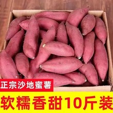 �������r�t��10���r�������������S�t�Ŀ��ع�����С����ɽ�����l