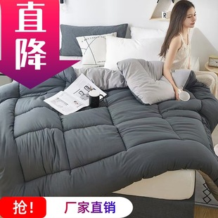 Thickened Winter Quilt, Warm Cotton Quilt, Winter Student Quilt Core, Dormitory Single and Double Air-Conditioned Quilt