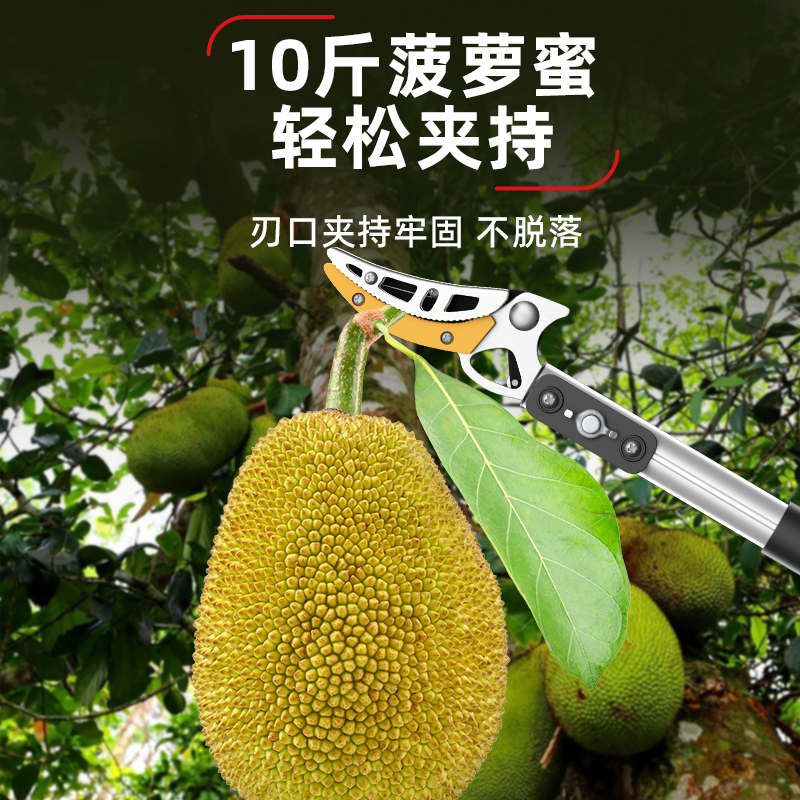 ✅摘果高空采摘伸缩杆摘树枝加长杆修枝枇杷荔枝摘果剪修