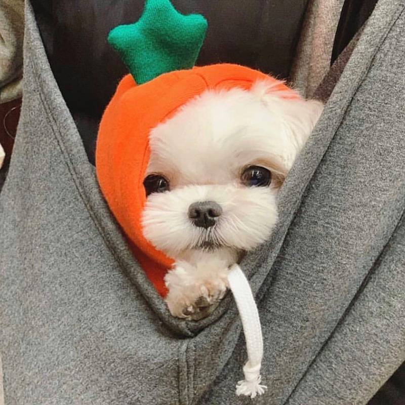 긴 잔디 스웨터