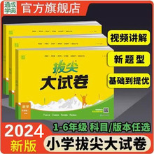 2024春通城学典拔尖大试卷一二三四五六年级上下册语数英江苏版