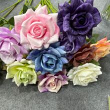 ��֦����õ�廨���滨��c���Ļ�Y�ò廨���Ż�õ�廨�^�ٲ���