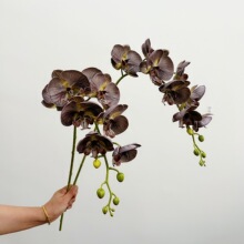 �͹ŷ���8�^�����m ���z�ޙѻ������m�ٻ� ��ʽ��c�����m���滨