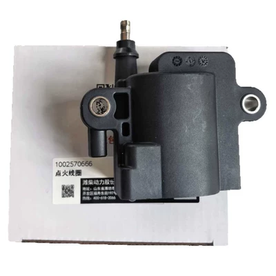 gas engine 1002570666, Other starting systems