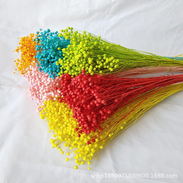 Acacia dried flower bouquet DIY flowers red wealthy bean home…