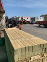 �������ľľ��̼��ľ�ذ匍ľ�o�������Ѽܵ������ľ�lľ�����