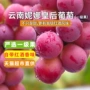 云南礼盒装孕妇新鲜红酒