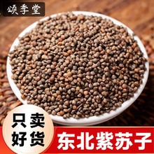 东北紫苏子中药材紫苏籽新货生紫苏籽饱满颗粒苏子调料榨油原料