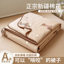 �A���YƷ�ı��ļ����ļ��W���ě����p�˿��{���əCϴ���ᱡ����