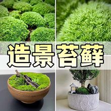 ��̦�\΢���^�r���辰��������diy��ɽֲ��ˮꑸװװl�\�쾰��