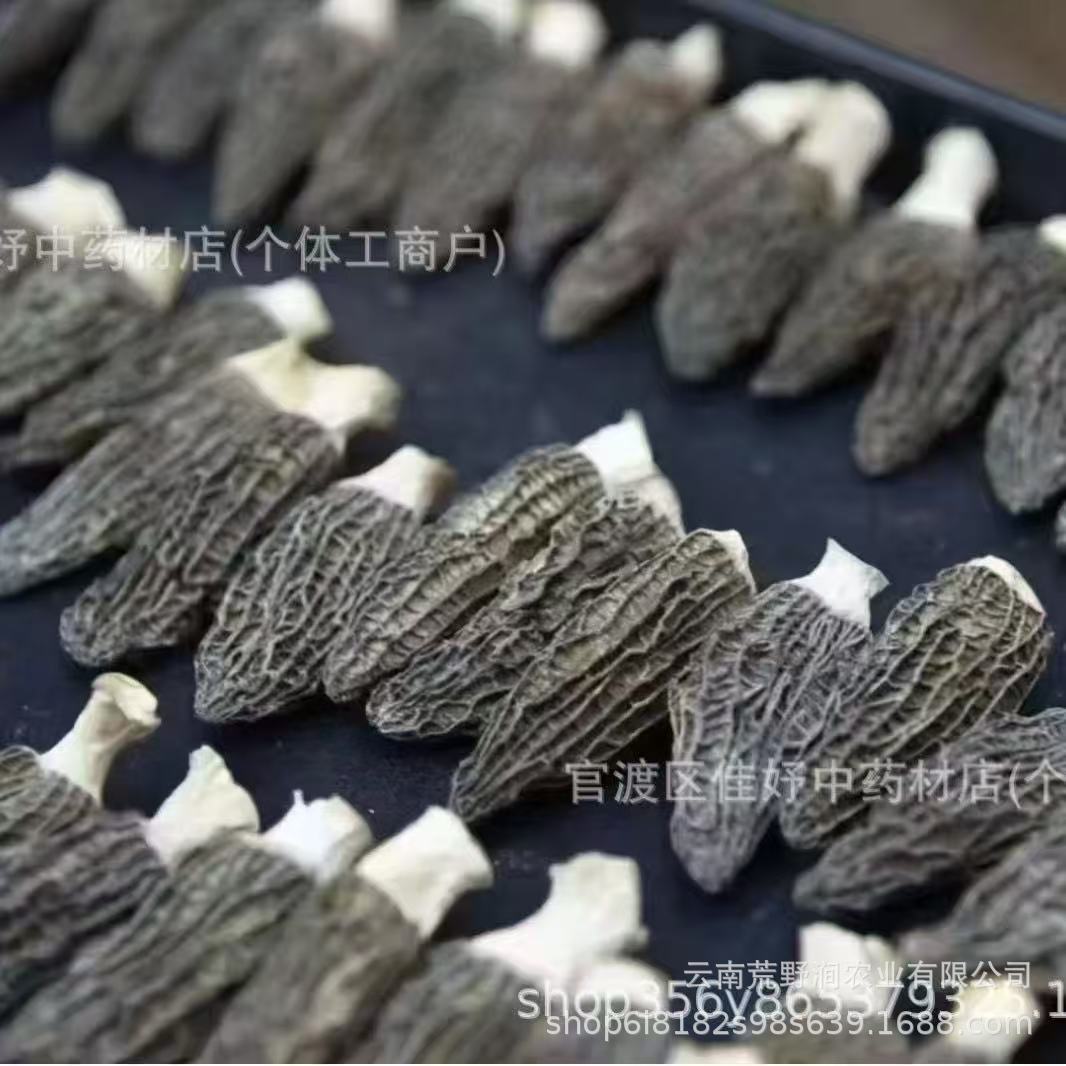 Dried Morel Mushrooms Yang Du Jun Morchella Gift Box Wild Yunnan Gourmet Culinary Fungi Holiday Gift Set quality and texture