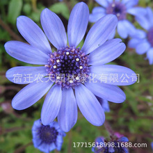 MշN100{خ~{rջѻ̨Դ＾