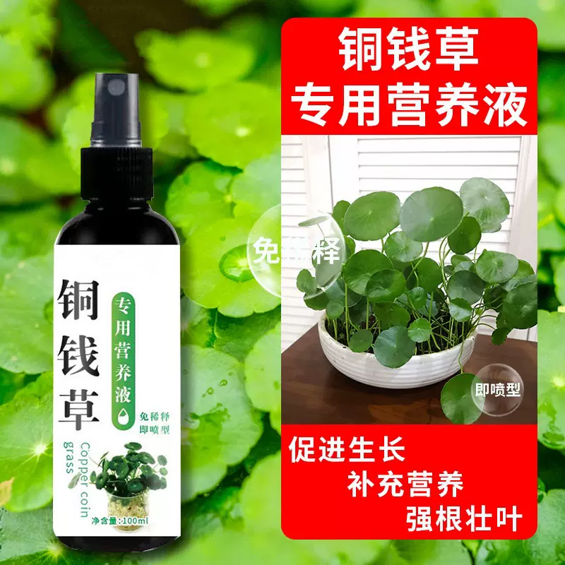 铜钱草营养液水培植物促进生长发芽促生根强根壮叶专用营养液批发