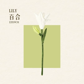毛绒玩具;公仔挂件;公仔抱枕
