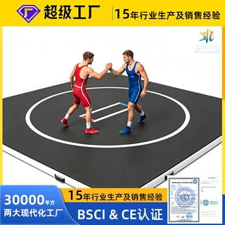 定制-跨境-亚马逊充气瑜伽垫拉丝气垫跆拳道馆地垫充气拉丝体操垫