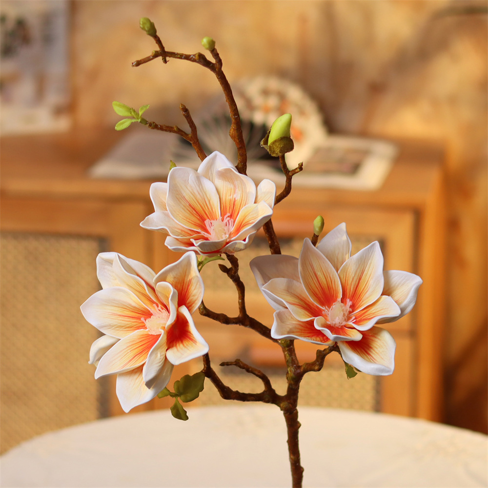 목련 샴페인 컬러