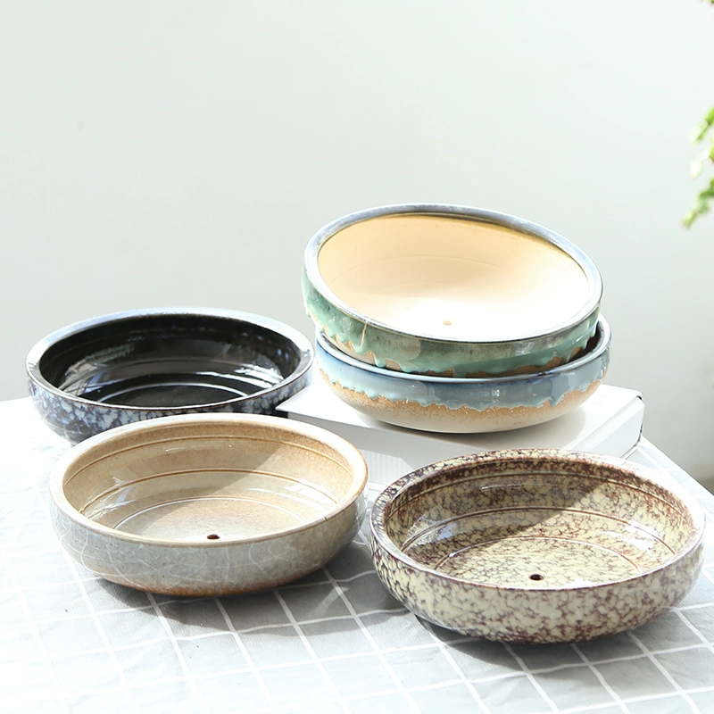 Комбинация суккулентов в горшках