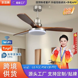 风扇灯;吸顶灯;吊灯