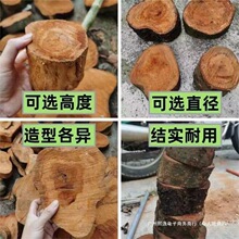 ������̨��̨��ˮλ��Ȼ����ľ�����׸�Ƥ�쾰�[����ľ�{��ˮ�|