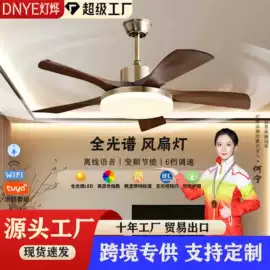 风扇灯;工业风扇;吊扇