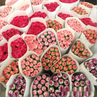 Flowers Yunnan Direct Delivery Carnation Base Same City Express Delivery Water Cultured Bouquet Kunming Birthday Mother's Day Gift