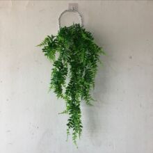 Rd沨˹ڒֲ첨˹ٗlٻbGֲ滨