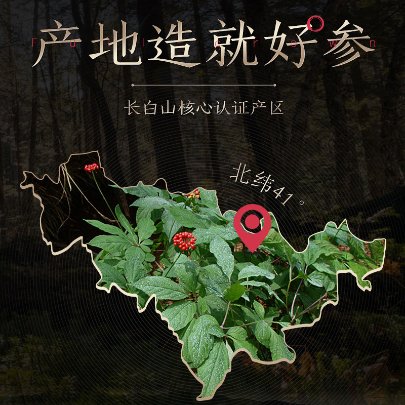 Wild Forest Ginseng Gift Box 40cm Wooden Presentation Case with Certificate Jilin Changbai Mountain specifications