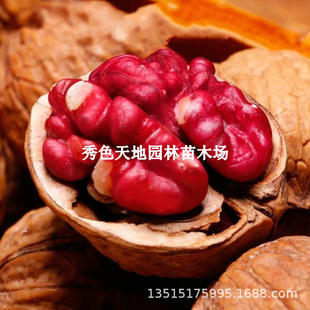 �Ͻ�t������޽������t�ʼtƤ���Ҙ��籡Ƥ��Ʒ�N�ϱ����Nֲ����