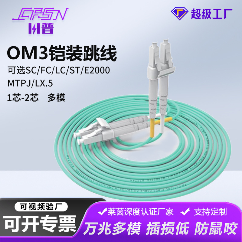 10g Multi-Mode Om3 Dual-Core Armored Fiber Optic Patch Cord Data Center Connection Cable Lc-Sc/Fc Extension Cable 3/ 5m 10g Multi-Mode Om3 Dual-Core Armored Fiber Optic Patch Cord Data Center Connection Cable Lc-Sc/Fc Extension Cable 3/ 5m