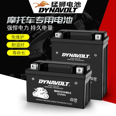 Fierce Lion Motorcycle Battery 12V7A9A Maintenance-free Dry Battery Pedal 125 Suitable for BMW Benelli Lithium (Car battery/battery)