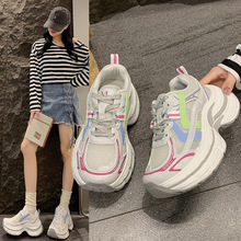 �ɹ����ϵ�ЬŮ��2026���ļ��¿�С�������߱��W͸��r�����eЬ