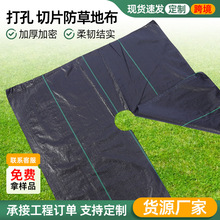 外贸批发防草布除草耐用抗UV无纺布防草布打孔园林除草布透水透气