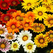 Mڄ¾շN ׷N ̨҃Ի ܷN 