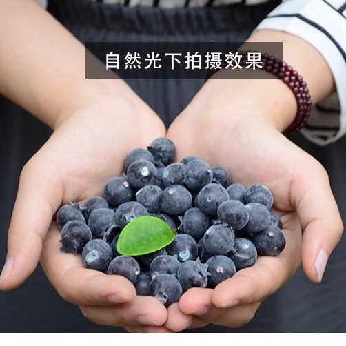 仿真蓝莓假蓝莓树莓仿真水果假水果模型摄影道具家居装饰摆件防真