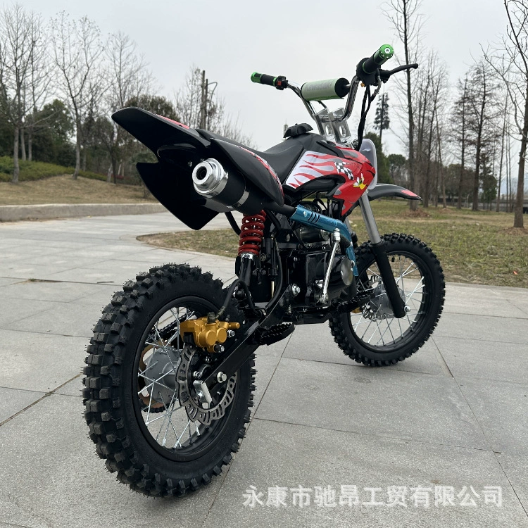 110cc мотоцикл / 125cc внедорожный мини-мотоцикл, джунглевый внедорожник