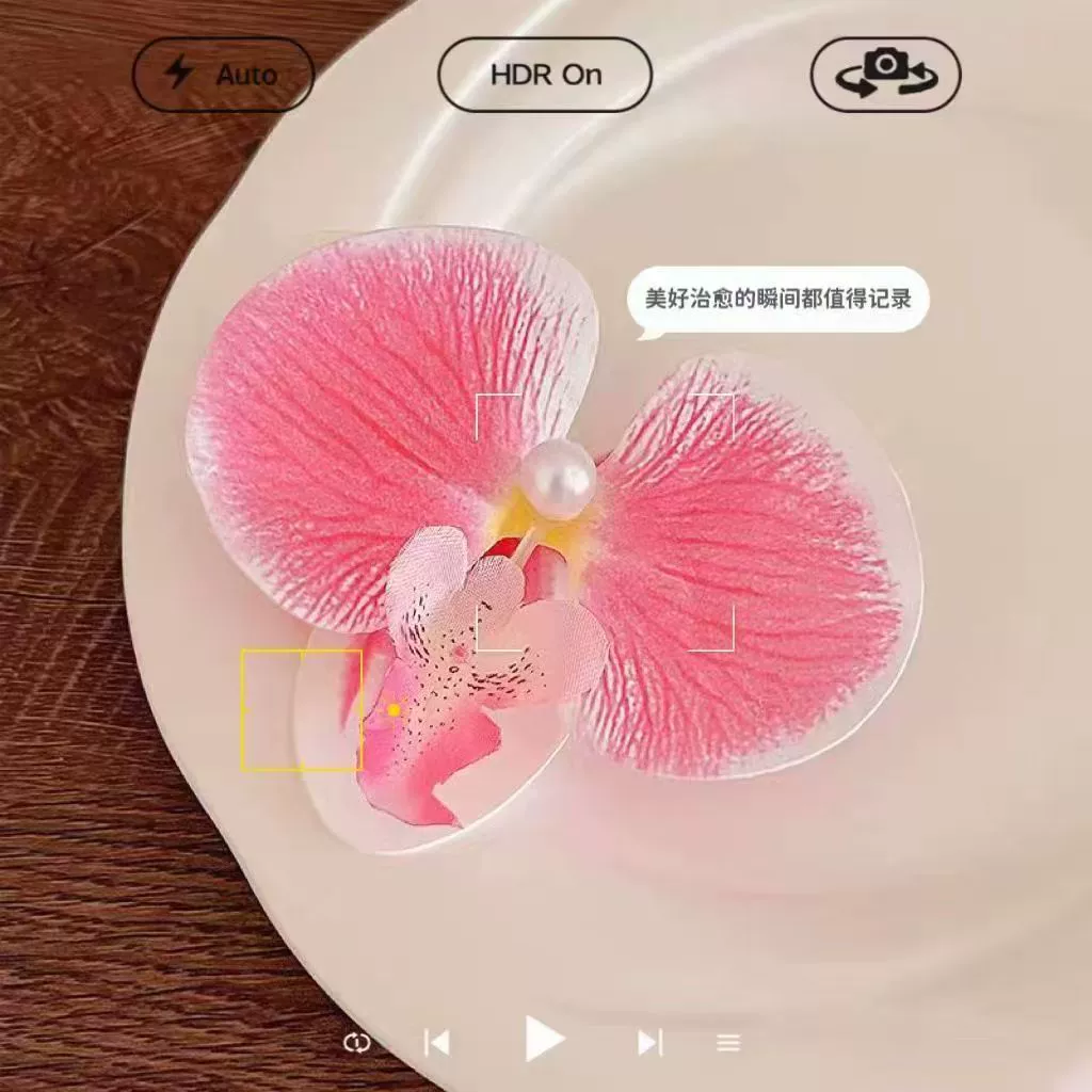 Hairgrip floral clips, princess French-style phalaenopsis & plumeria, multi-size duckbill & pins