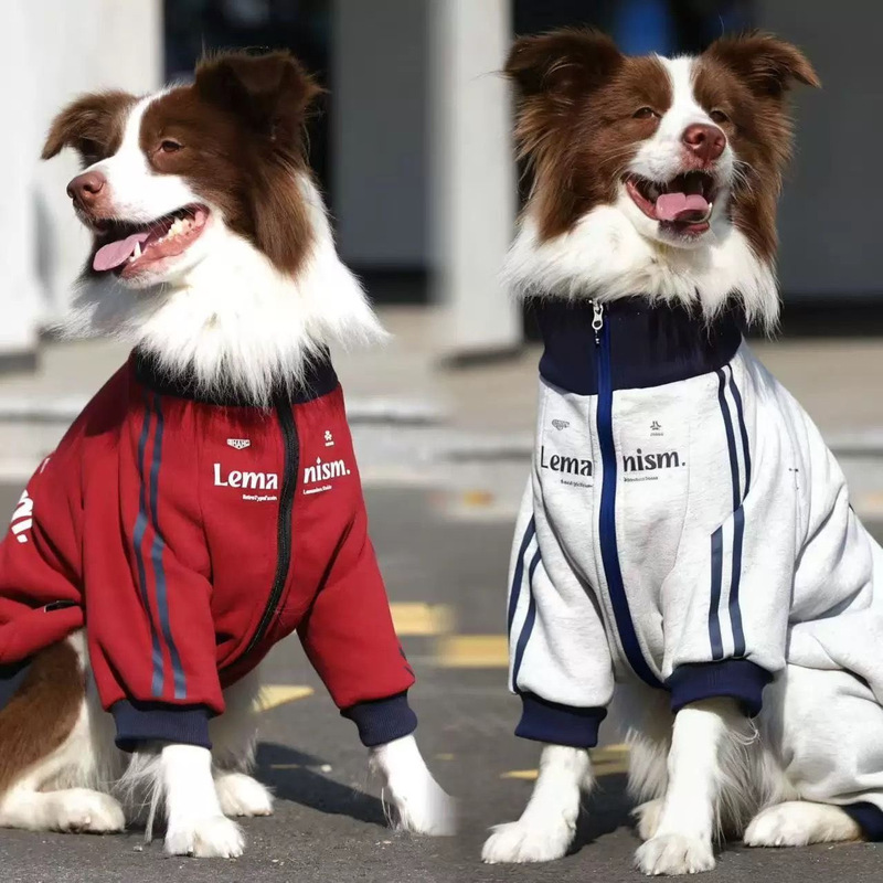 Stylish Medium to Large Dog Pet Clothing Autumn and Winter New Style Golden Retriever, Border Collie, Labrador Fleece-Lined Warm Coat Trendy Stylish Medium to Large Dog Pet Clothing Autumn and Winter New Style Golden Retriever, Border Collie, Labrador Fleece-Lined Warm Coat Trendy