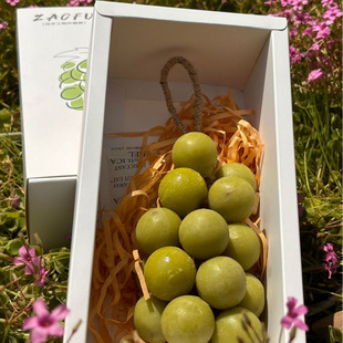 ���������ֹ����Ʒ���ֲ���������������ђ����������Y��