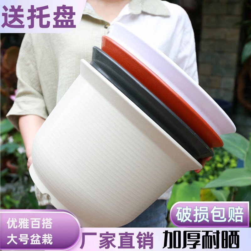 Extra-Large Plastic Resin Flower Pot for Green Radish, Imitation Ceramic, Large Size, Special Clearance, Gallon Pot, Thickened