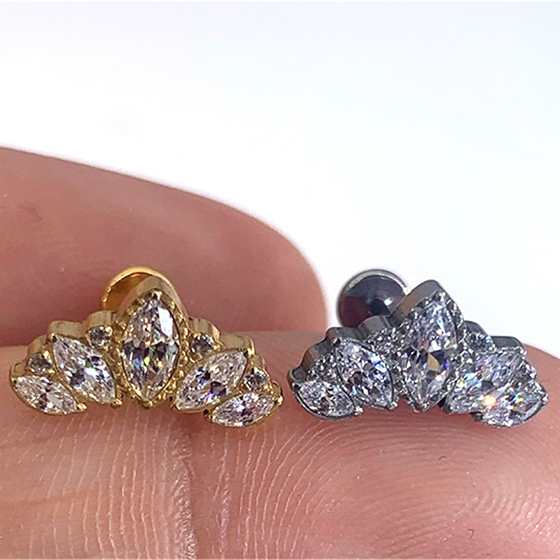 G23 Titanium Human Piercing Zirconium Lip Ring Nose Ring Ear Ring Ear Bone Ring Piercing Jewelry