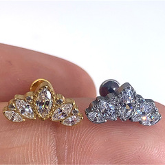 G23 Titanium Human Piercing Zirconium Lip Ring Nose Ring Ear Ring Ear Bone Ring Piercing Jewelry