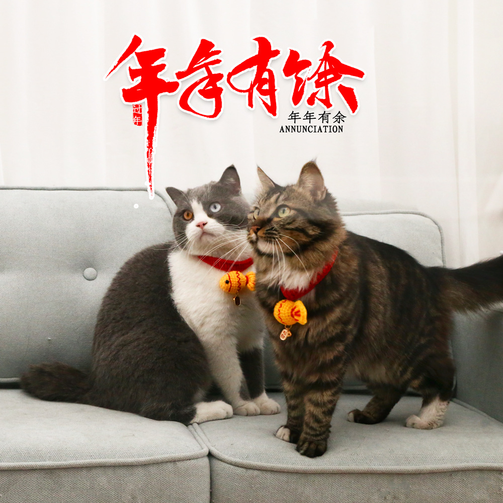 QQ图片20211018145730