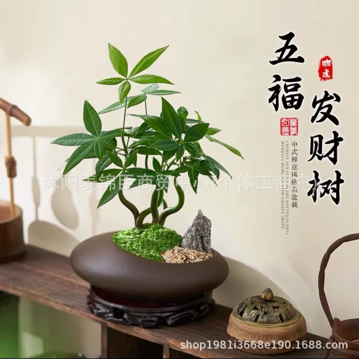 Дерево удачи с пятью благословениями. Новое китайское растение в горшке в стиле дзен. Внутреннее настольное украшение для офиса. Бонсай. Растение «Четыре сезона». Теневыносливость. Легко ухаживать.